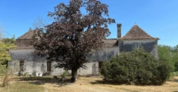 Domaine prestigieux à Ménesplet en Dordogne – 496m²