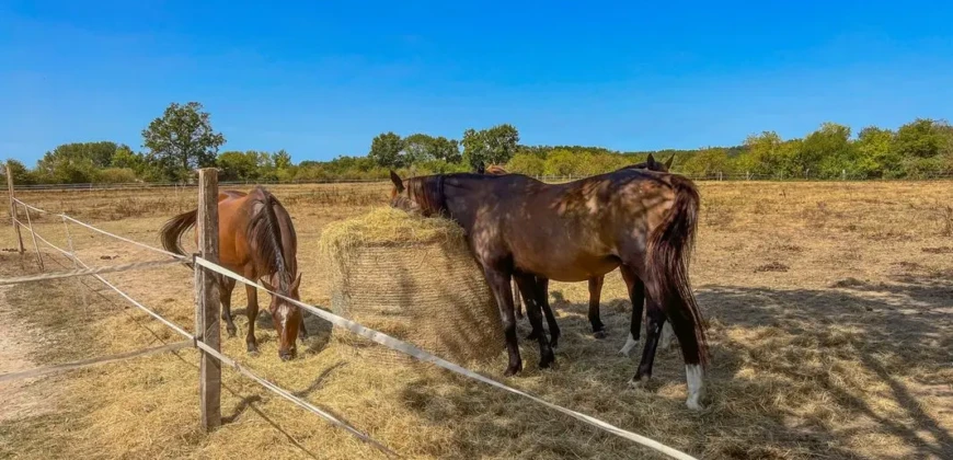 Domaine prestigieux à Ménesplet en Dordogne – 496m²