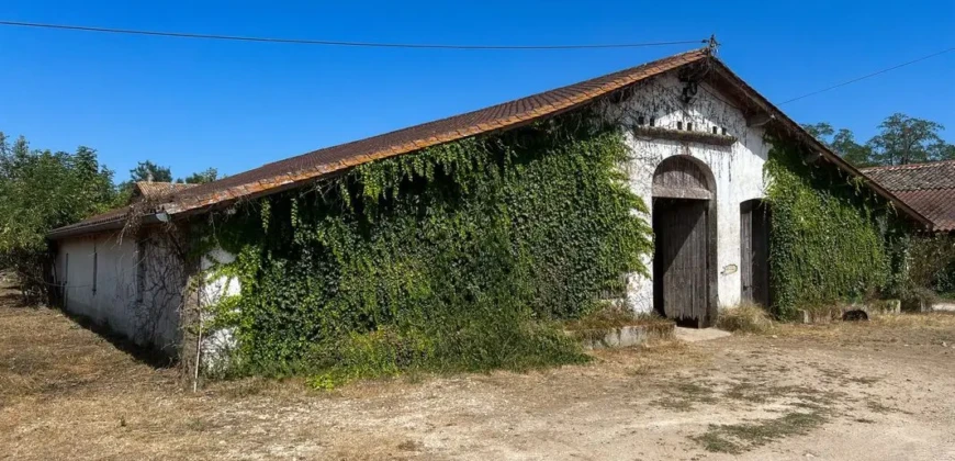 Domaine prestigieux à Ménesplet en Dordogne – 496m²