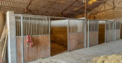 Domaine prestigieux à Ménesplet en Dordogne – 496m²