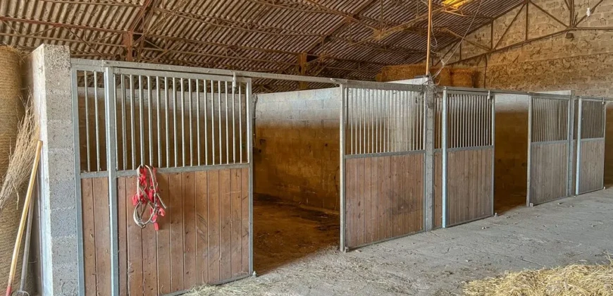 Domaine prestigieux à Ménesplet en Dordogne – 496m²